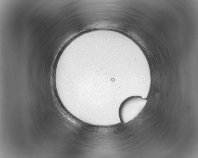 X0000064730848200603031640