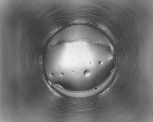 X0000064730849200603031640