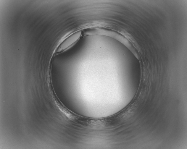 X0000064730850200603031640