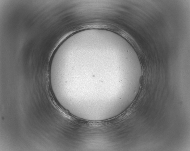 X0000064730852200603031640