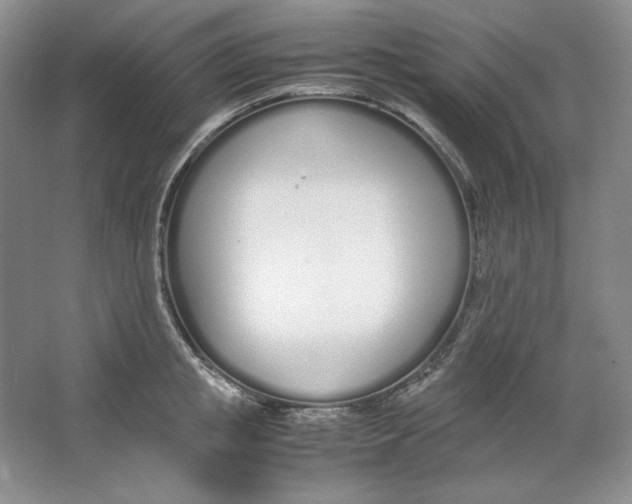 X0000064730853200603031640