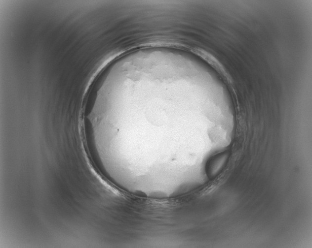 X0000064730855200603031640