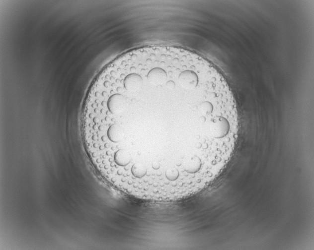 X0000064730856200603031640