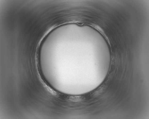 X0000064730859200603031640