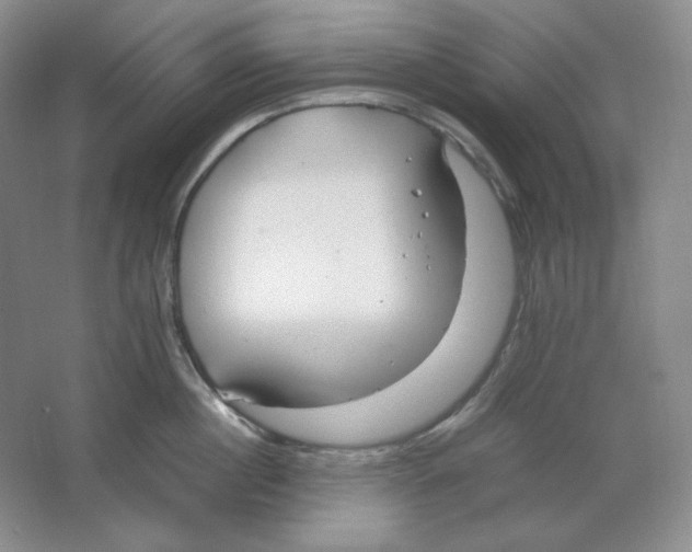 X0000064730860200603031640