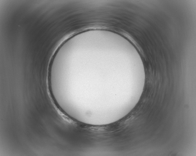 X0000064730861200603031640