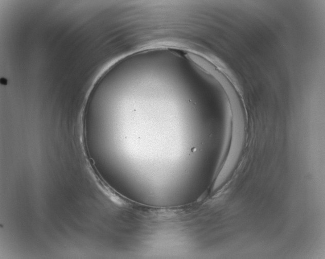 X0000064730862200603031640