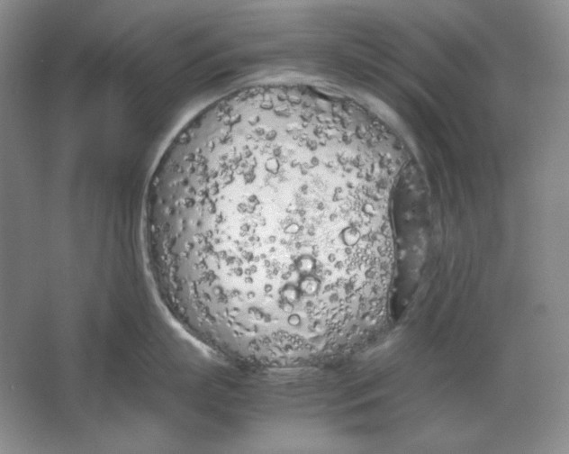 X0000064730863200603031640