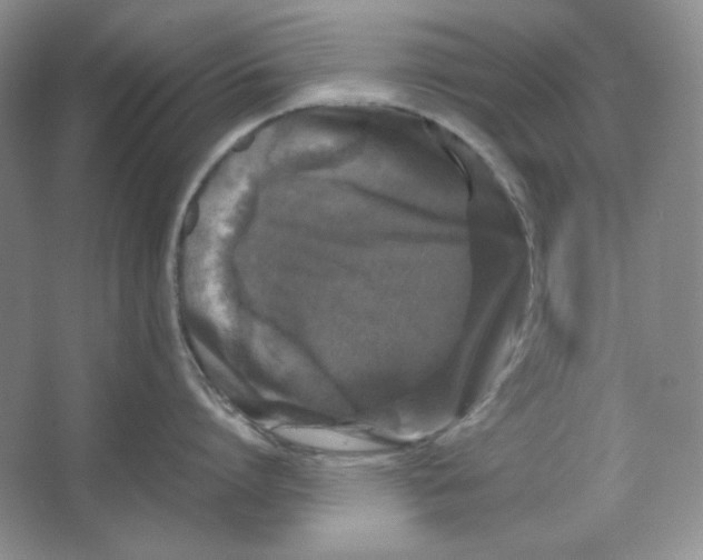 X0000064730864200603031640