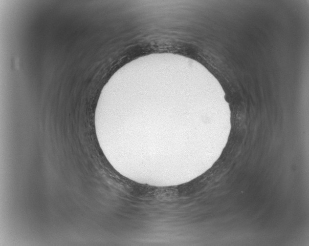 X0000064730865200603031639