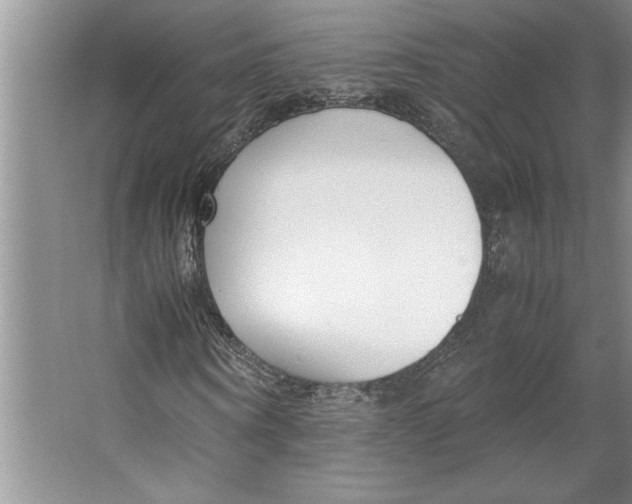 X0000064730866200603031639