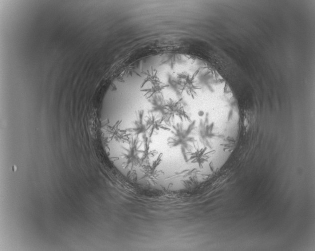 X0000064730867200603031639