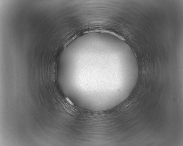 X0000064730868200603031639