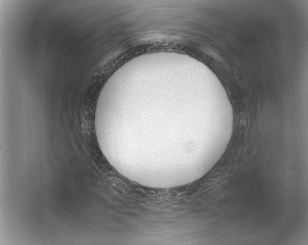 X0000064730869200603031639