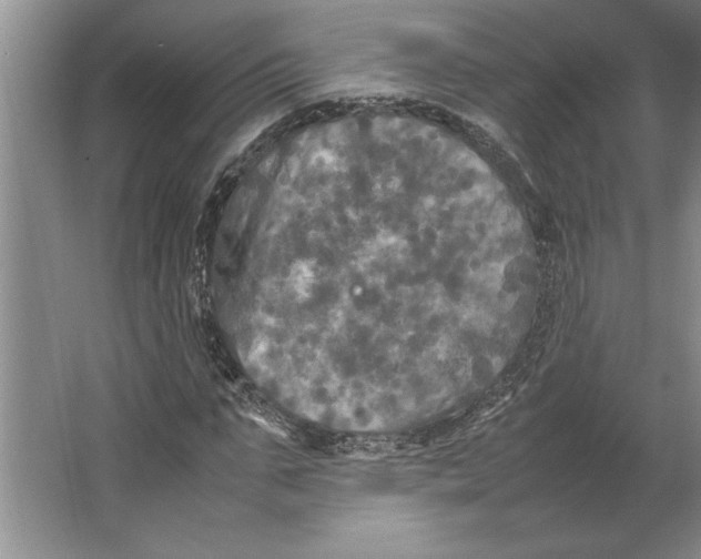 X0000064730871200603031639