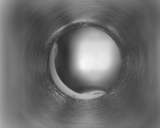 X0000064730872200603031639