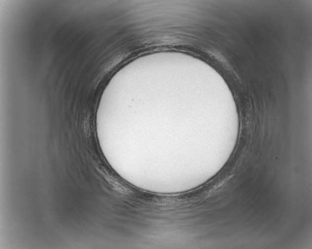 X0000064730873200603031639