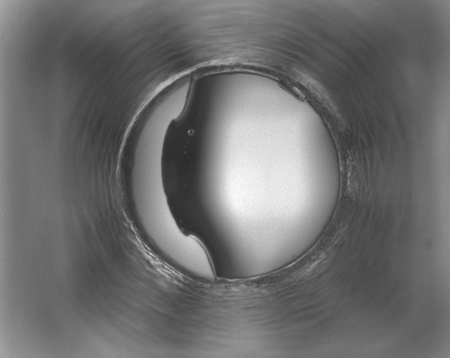 X0000064730876200603031639