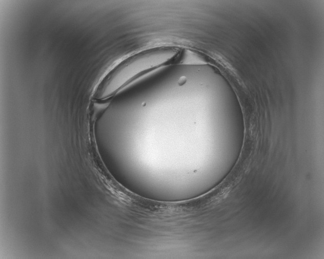 X0000064730877200603031639