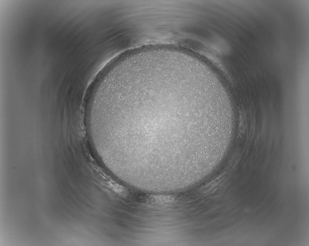 X0000064730878200603031639