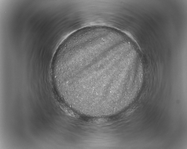 X0000064730879200603031639