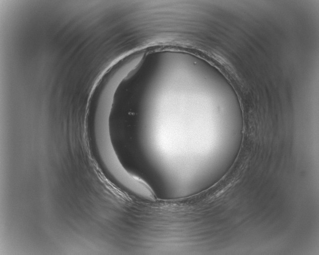 X0000064730880200603031639