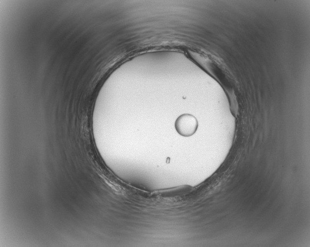 X0000064730881200603031639