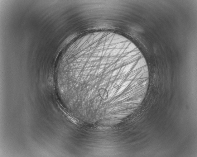 X0000064730882200603031639