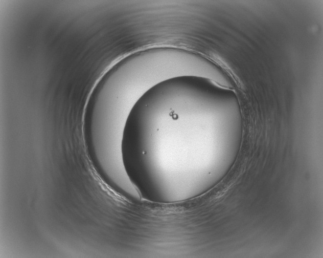 X0000064730884200603031639