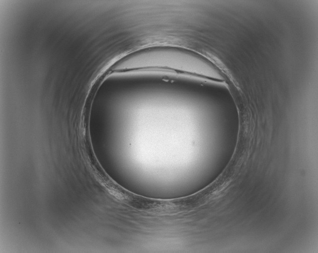 X0000064730885200603031639