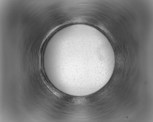 X0000064730886200603031639