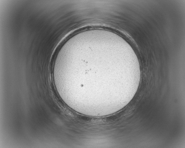 X0000064730887200603031639