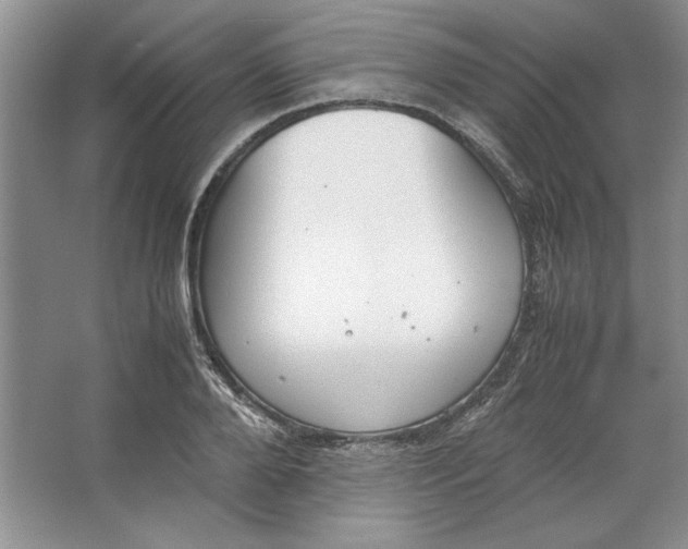 X0000064730888200603031639