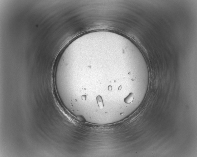 X0000064730890200603031639