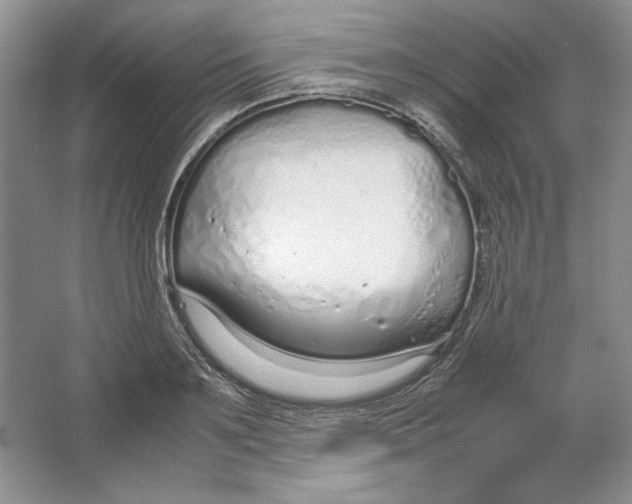 X0000064730891200603031639