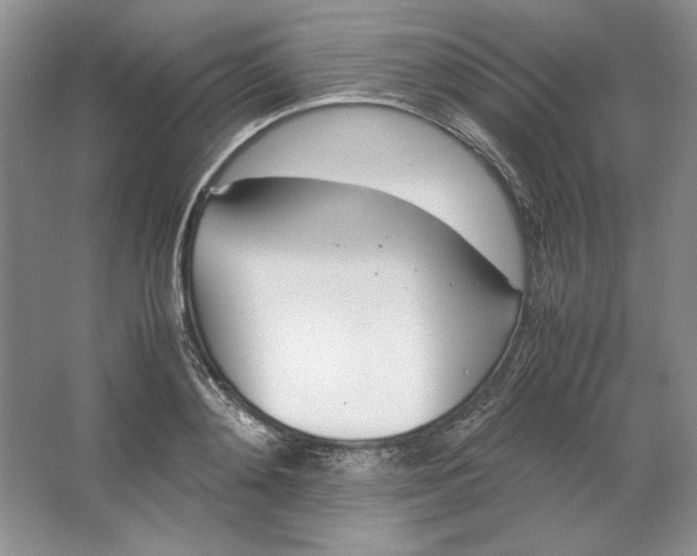 X0000064730892200603031639