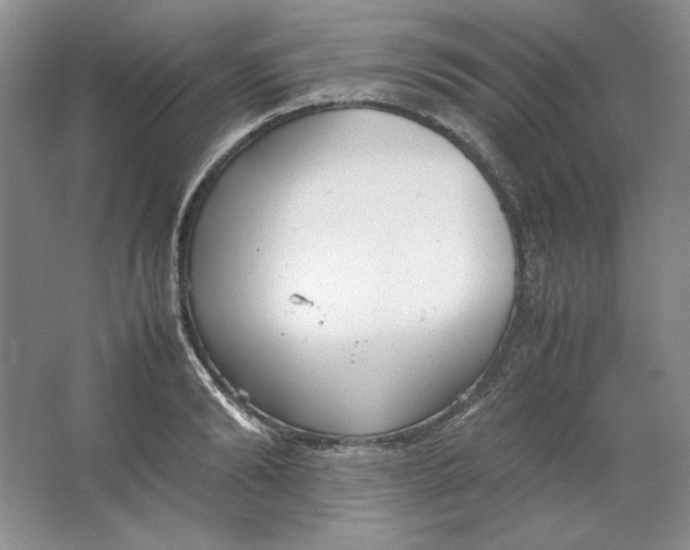 X0000064730894200603031638