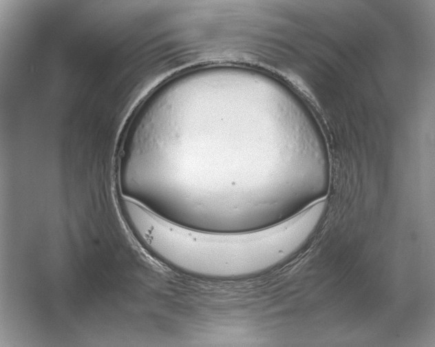 X0000064730895200603031638