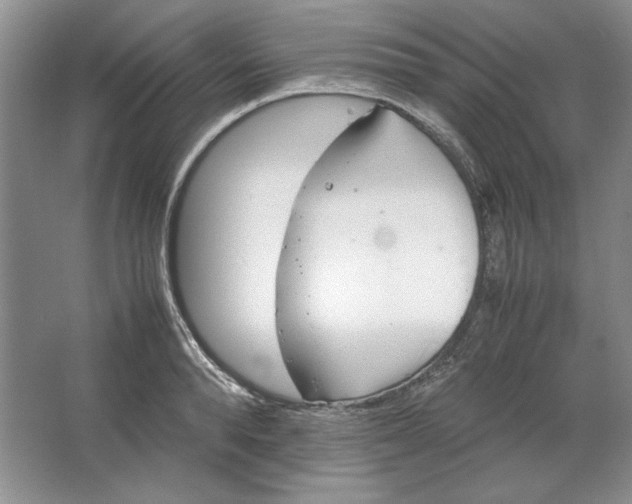 X0000064730896200603031638