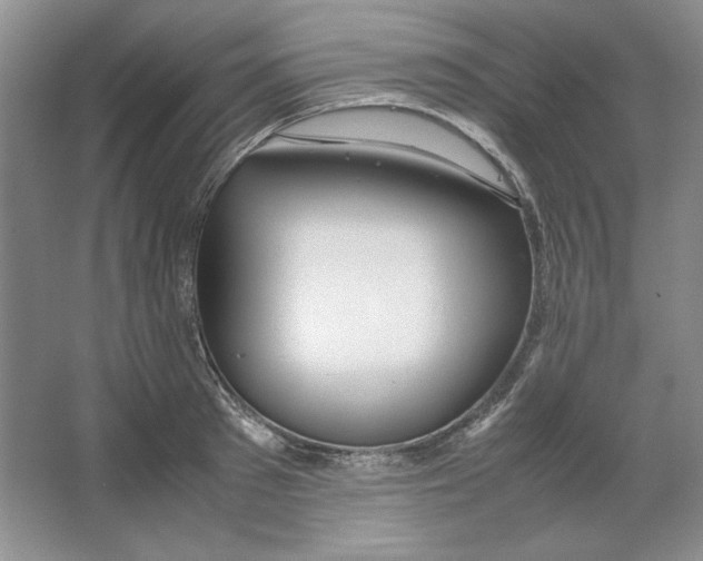 X0000064730897200603031638