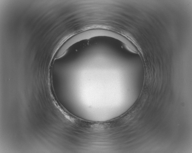 X0000064730898200603031638