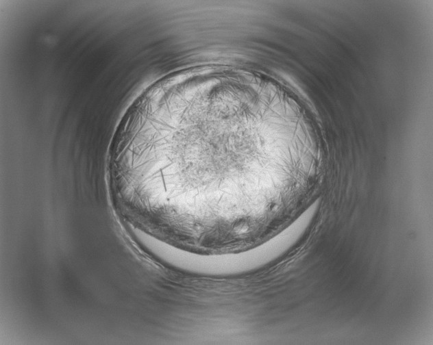 X0000064730899200603031638