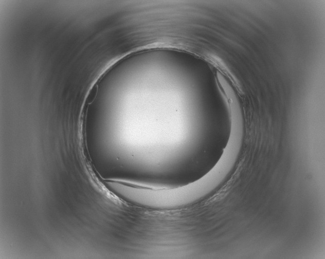 X0000064730900200603031638