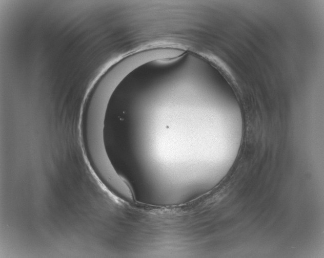 X0000064730902200603031638