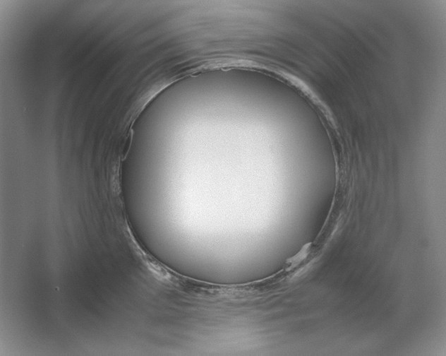 X0000064730905200603031638