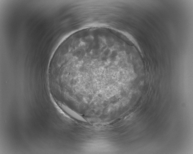 X0000064730911200603031638