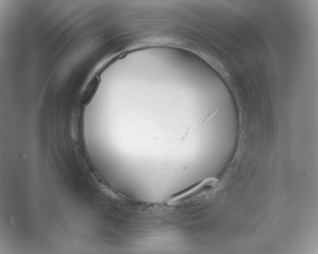 X0000064730912200603031638