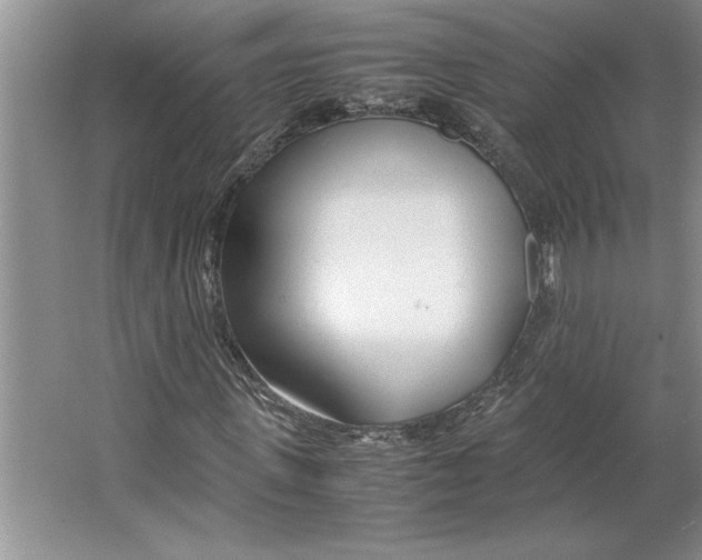 X0000064730915200603031637