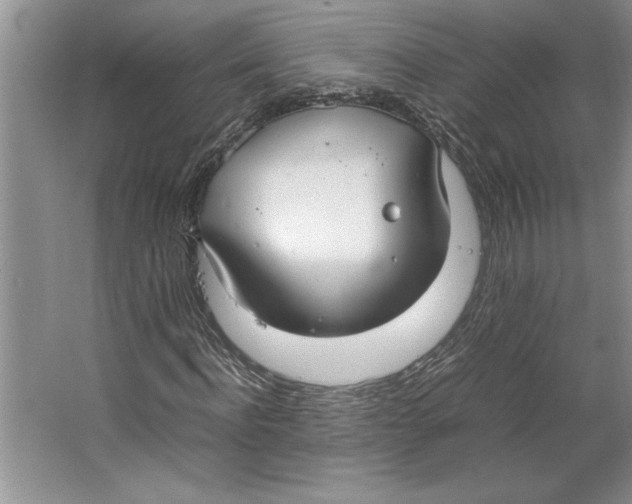 X0000064730916200603031637