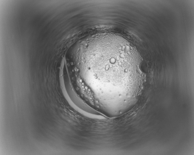 X0000064730917200603031637